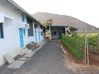 porfolio